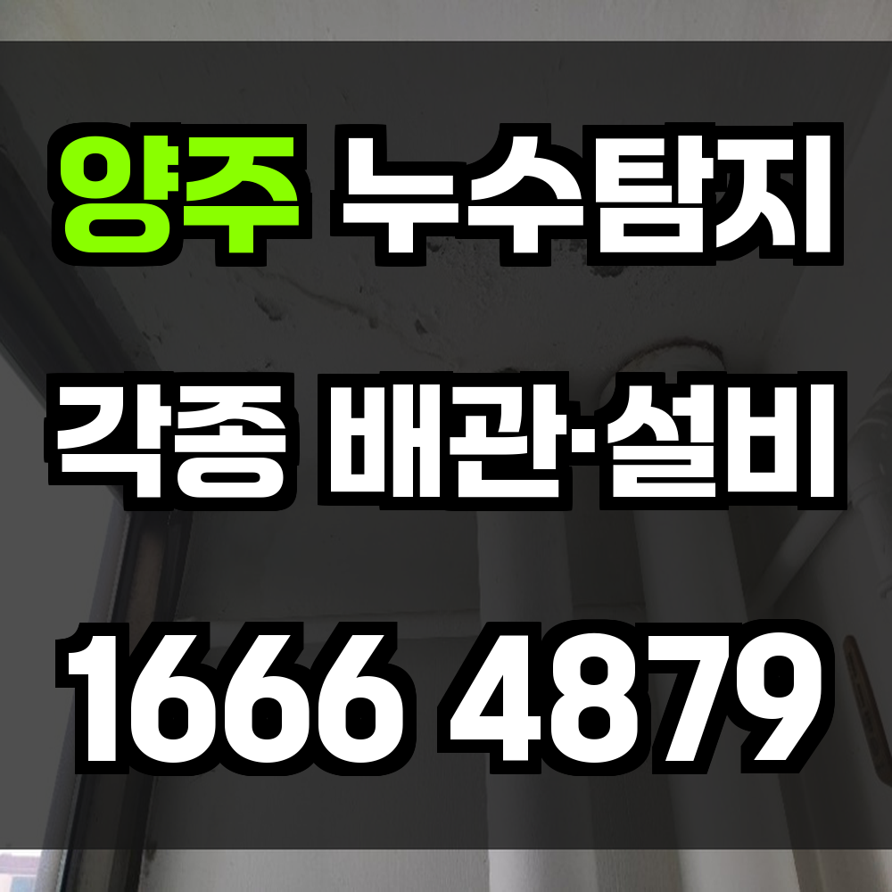 양주 누수탐지 보이지 않는 누수까지 정확하게 진단합니다