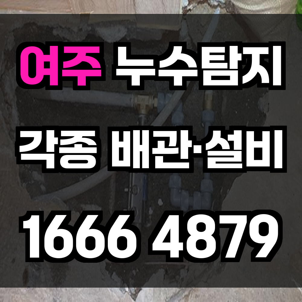 여주 누수탐지 빠른 진단으로 건물 피해를 미연에 방지하세요
