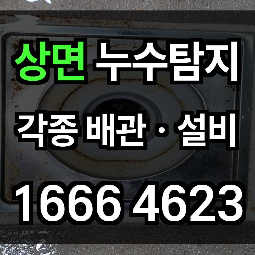 상면 누수탐지