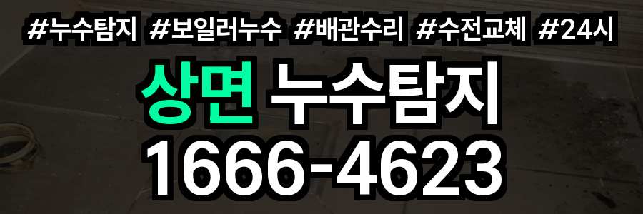 상면 누수탐지