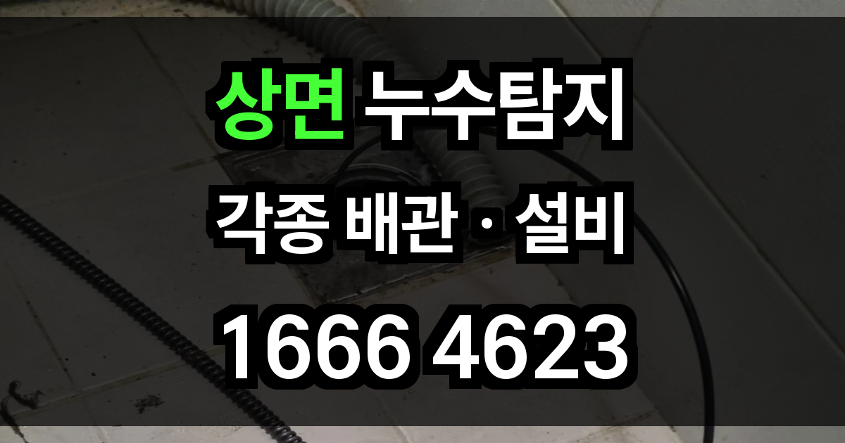 상면 누수탐지