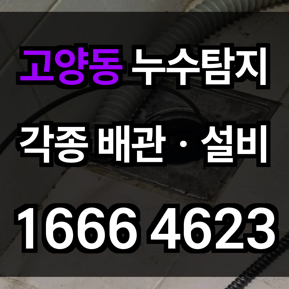 고양동 누수탐지