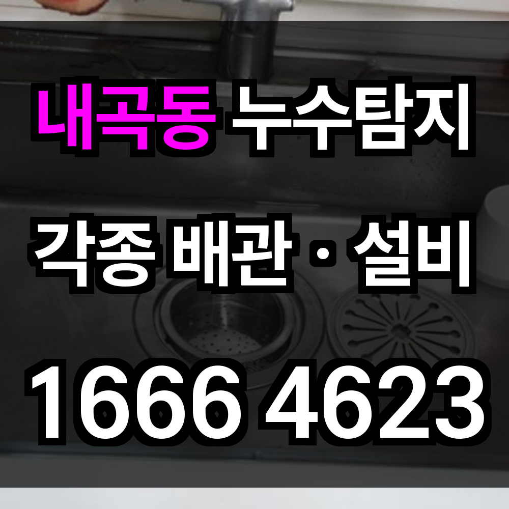 내곡동 누수탐지