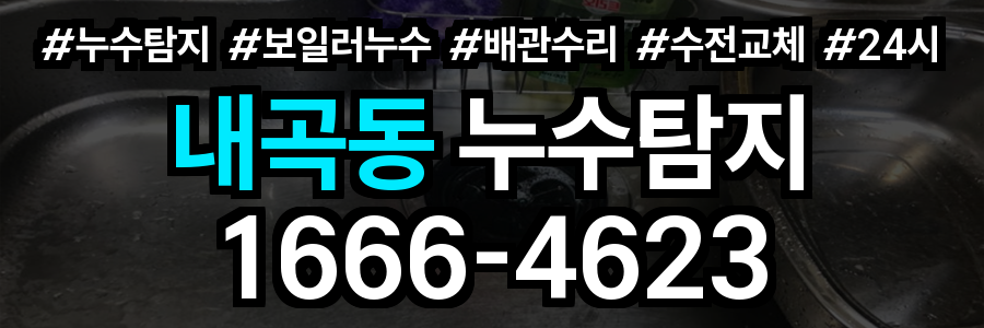 내곡동 누수탐지