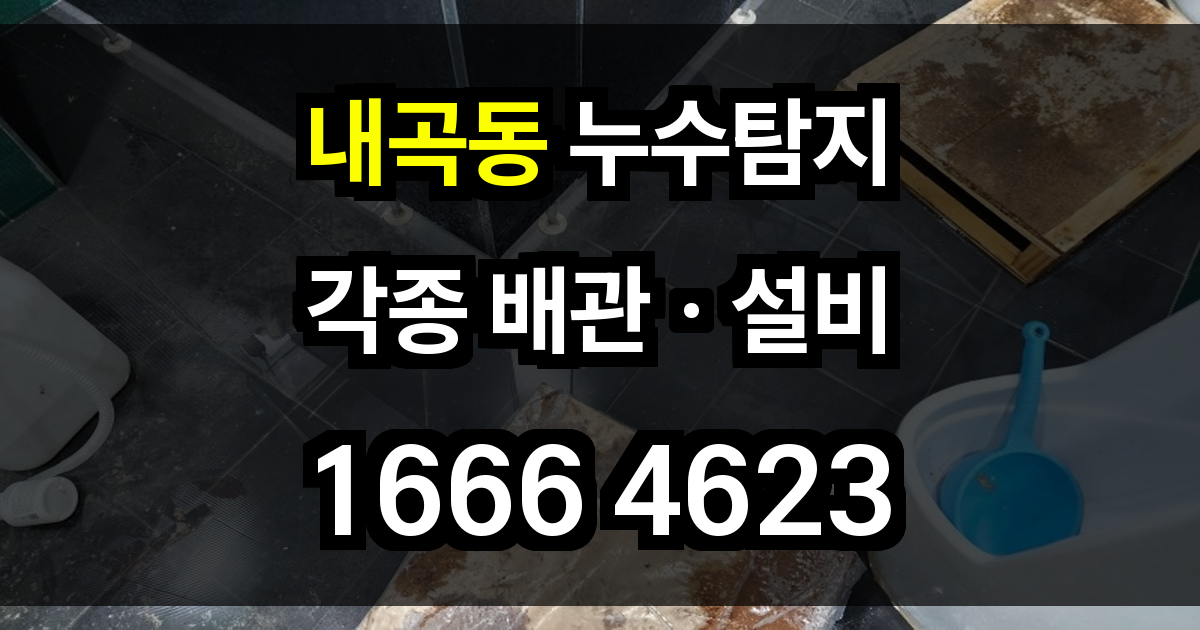 내곡동 누수탐지