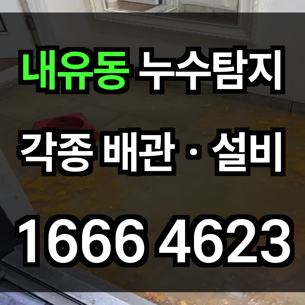 내유동 누수탐지