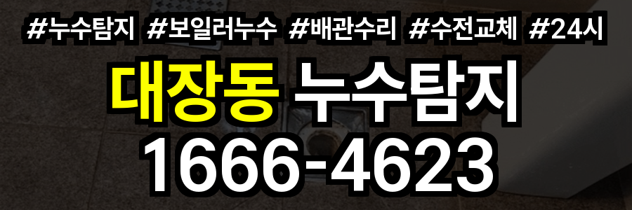 대장동 누수탐지