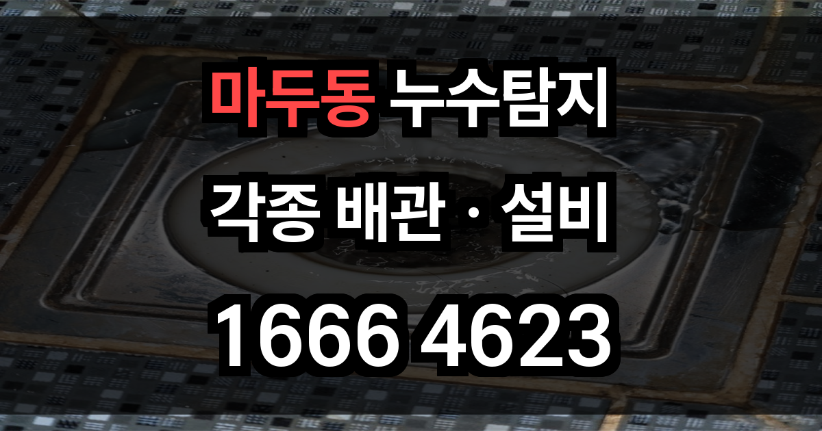 마두동 누수탐지