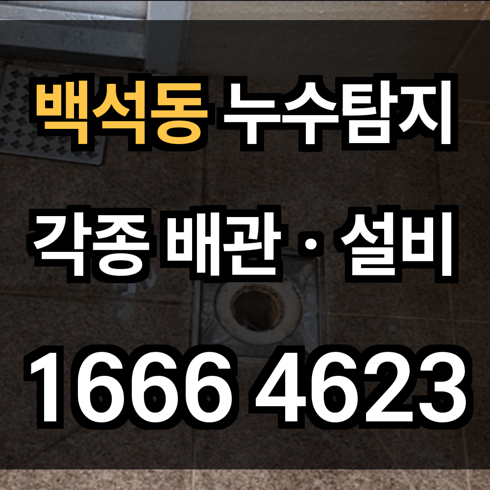 백석동 누수탐지