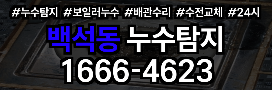 백석동 누수탐지