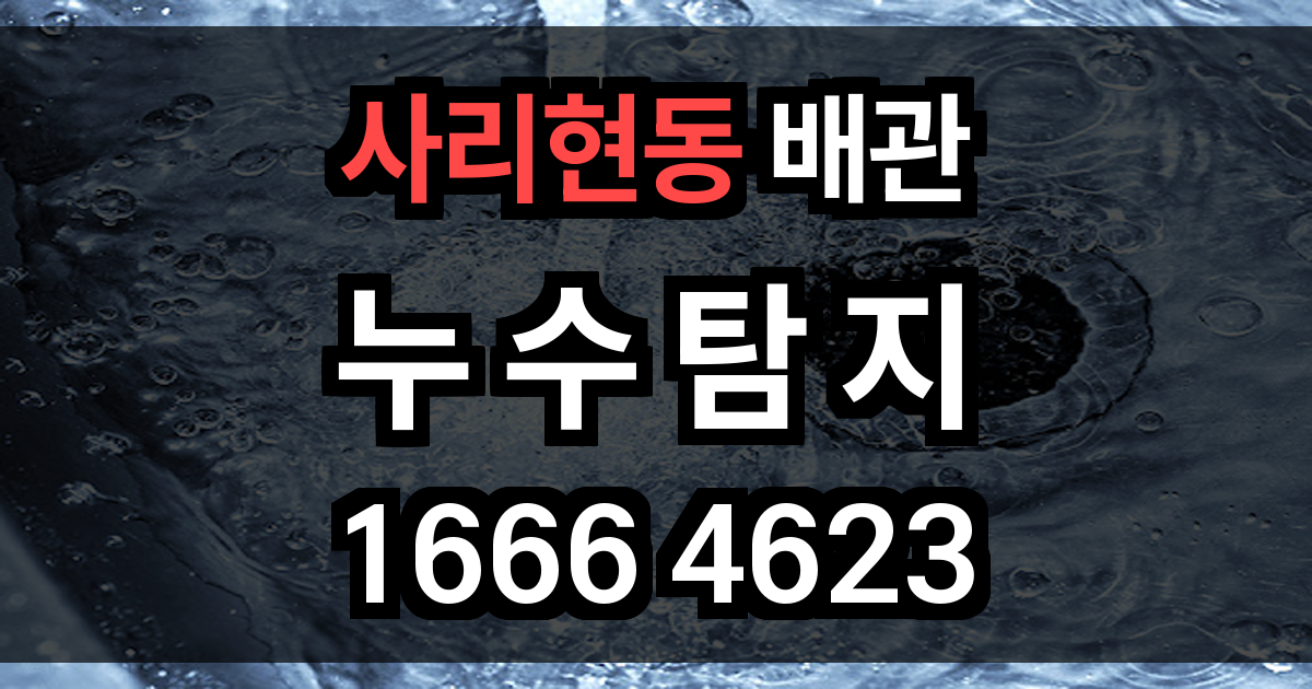 사리현동 누수탐지