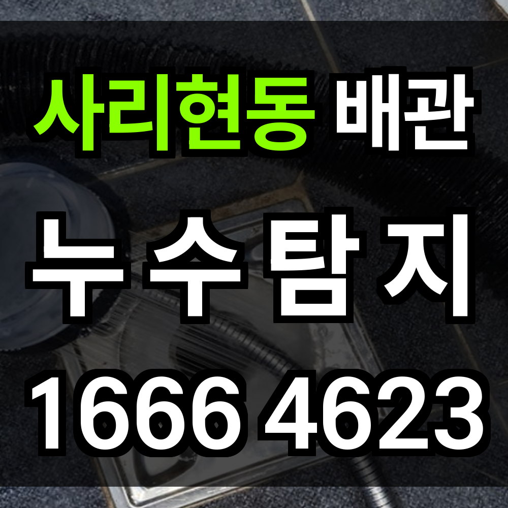 사리현동 누수탐지