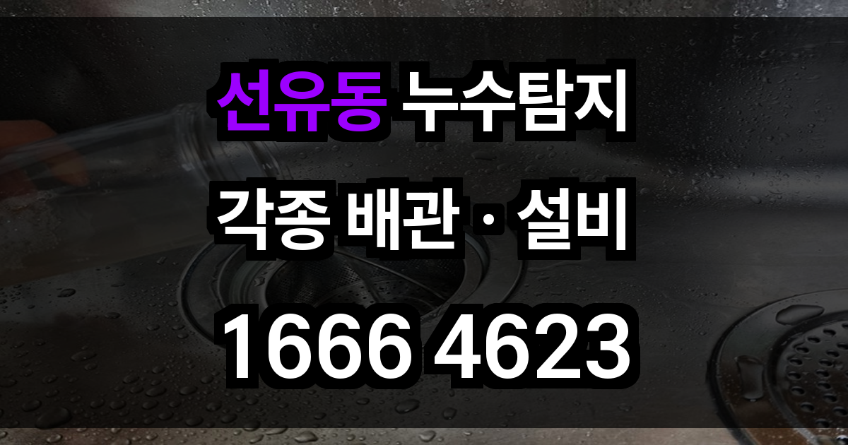 선유동 누수탐지