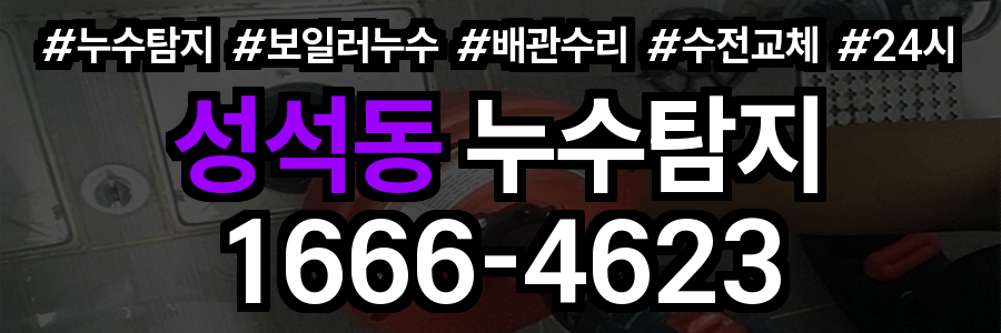 성석동 누수탐지