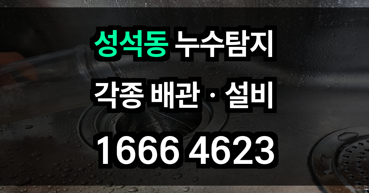 성석동 누수탐지