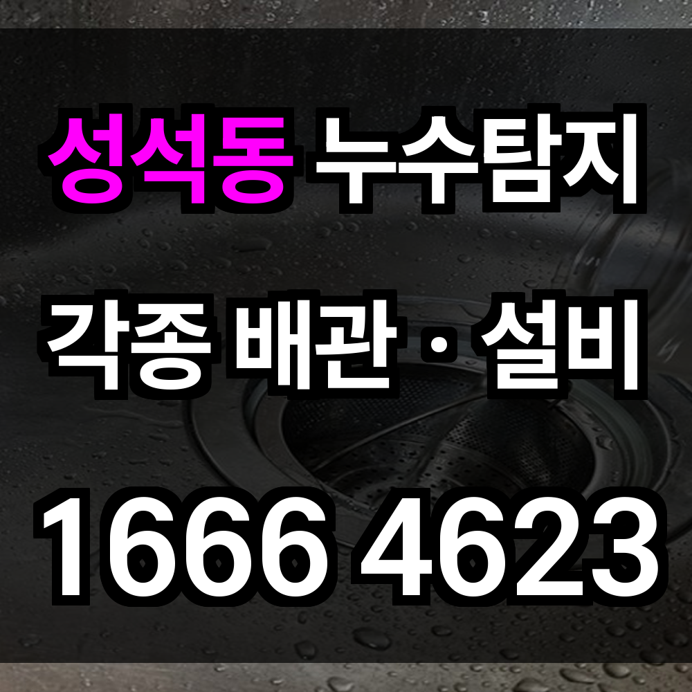 성석동 누수탐지