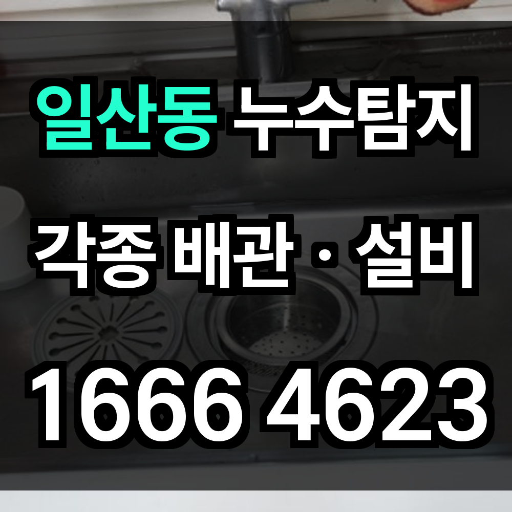 일산동 누수탐지