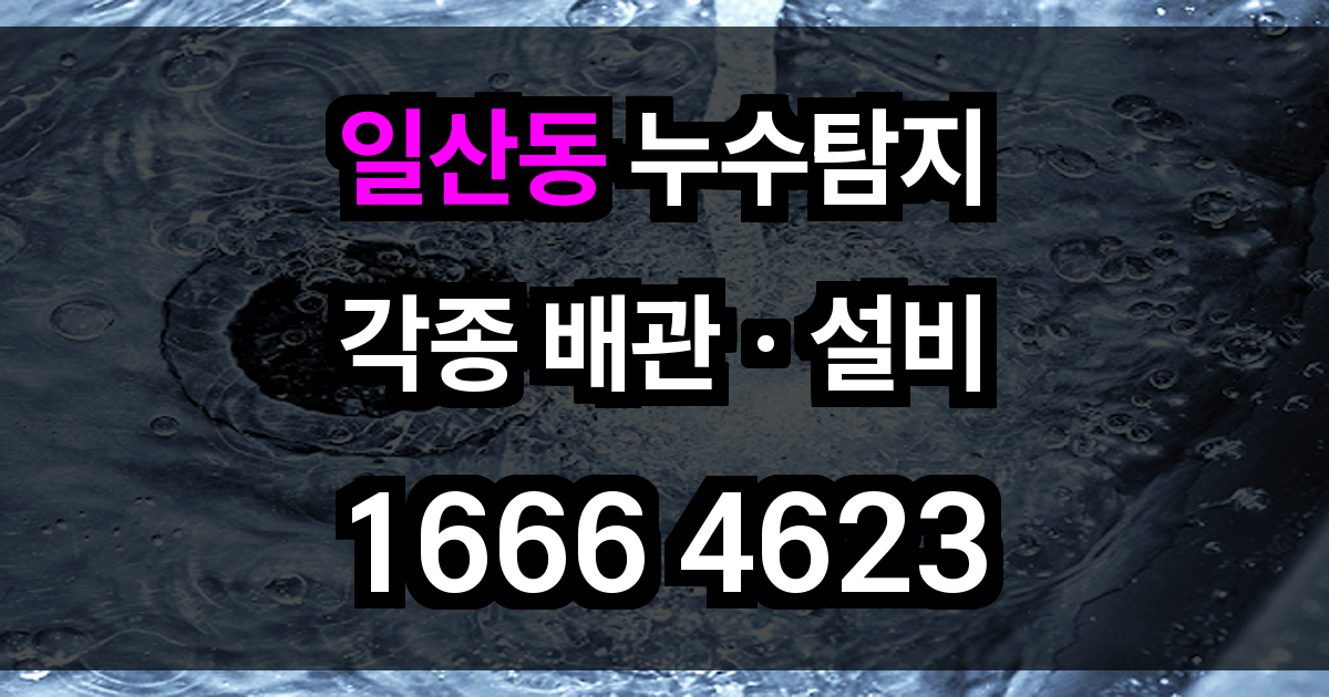 일산동 누수탐지
