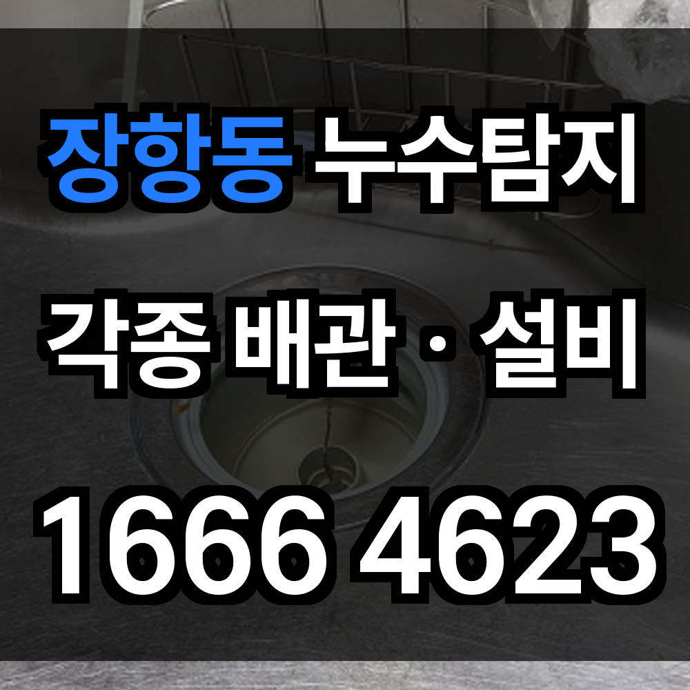 장항동 누수탐지