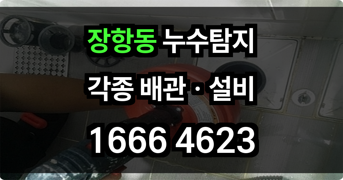 장항동 누수탐지