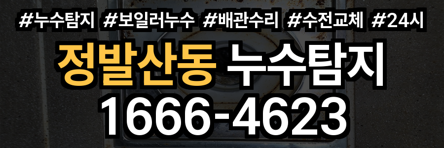 정발산동 누수탐지