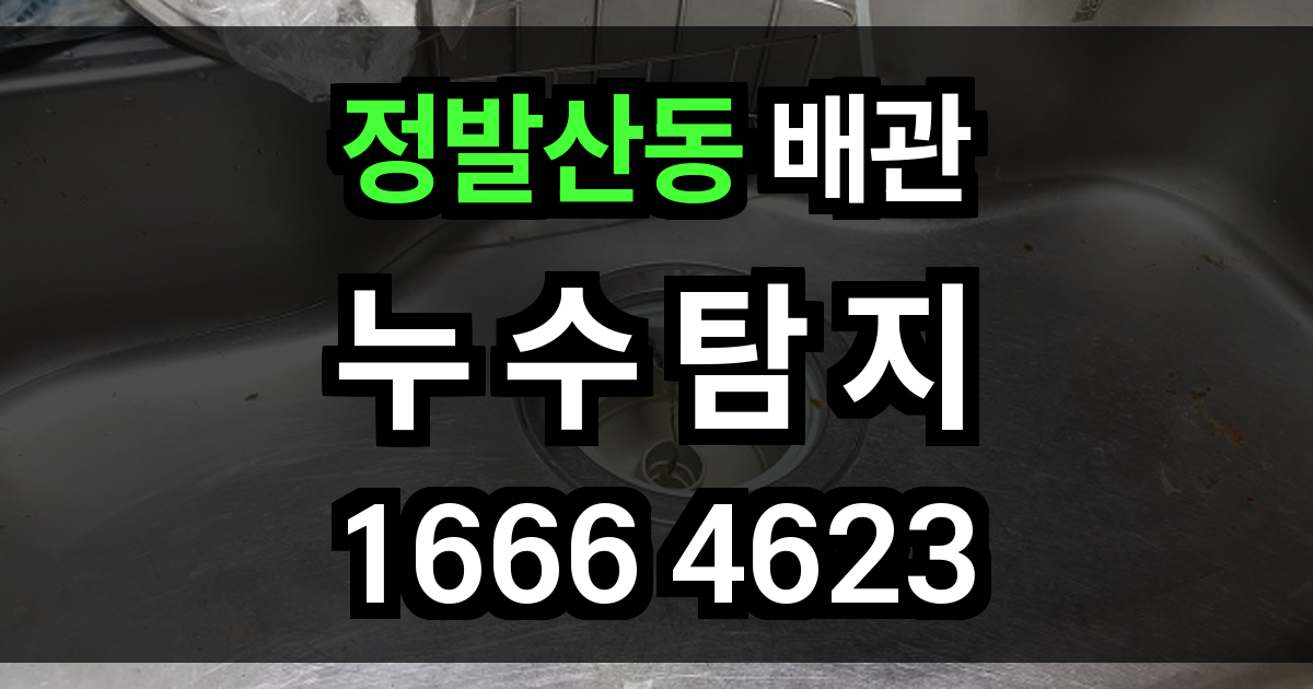 정발산동 누수탐지