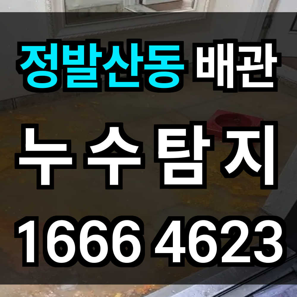 정발산동 누수탐지