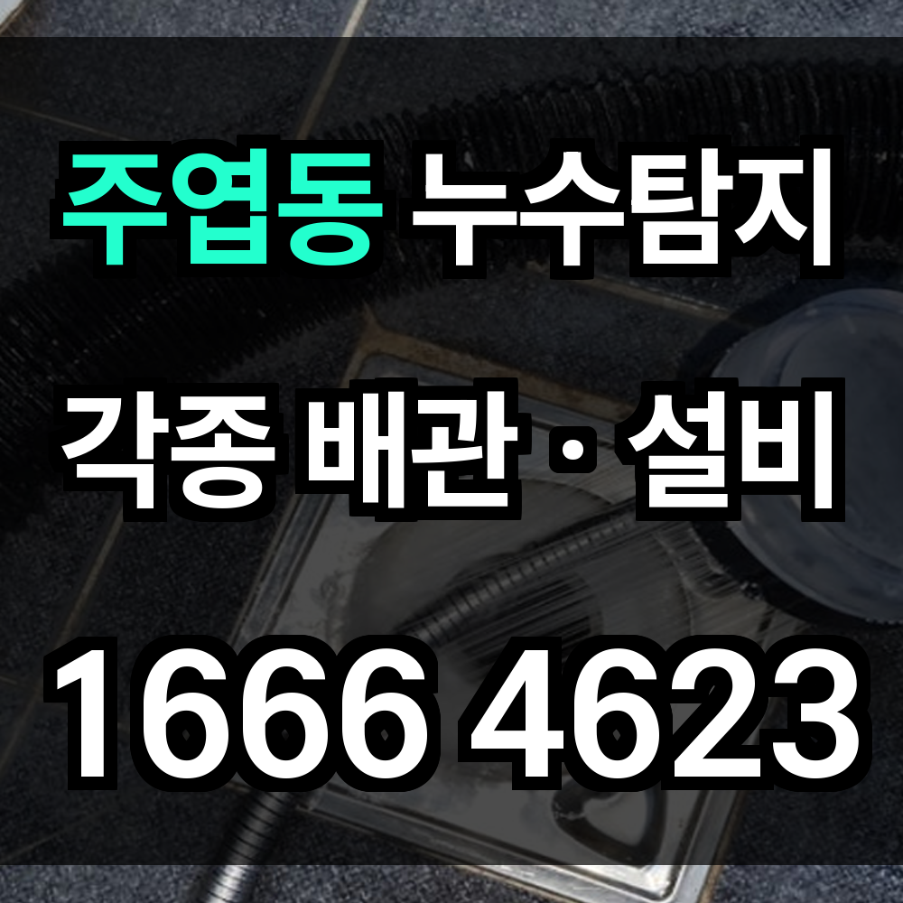 주엽동 누수탐지