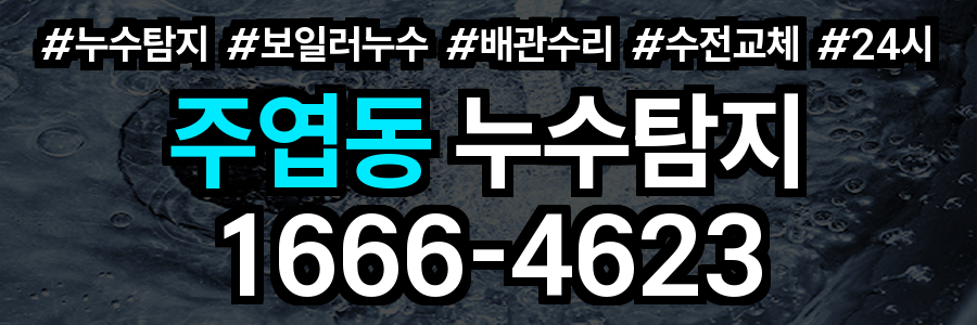 주엽동 누수탐지