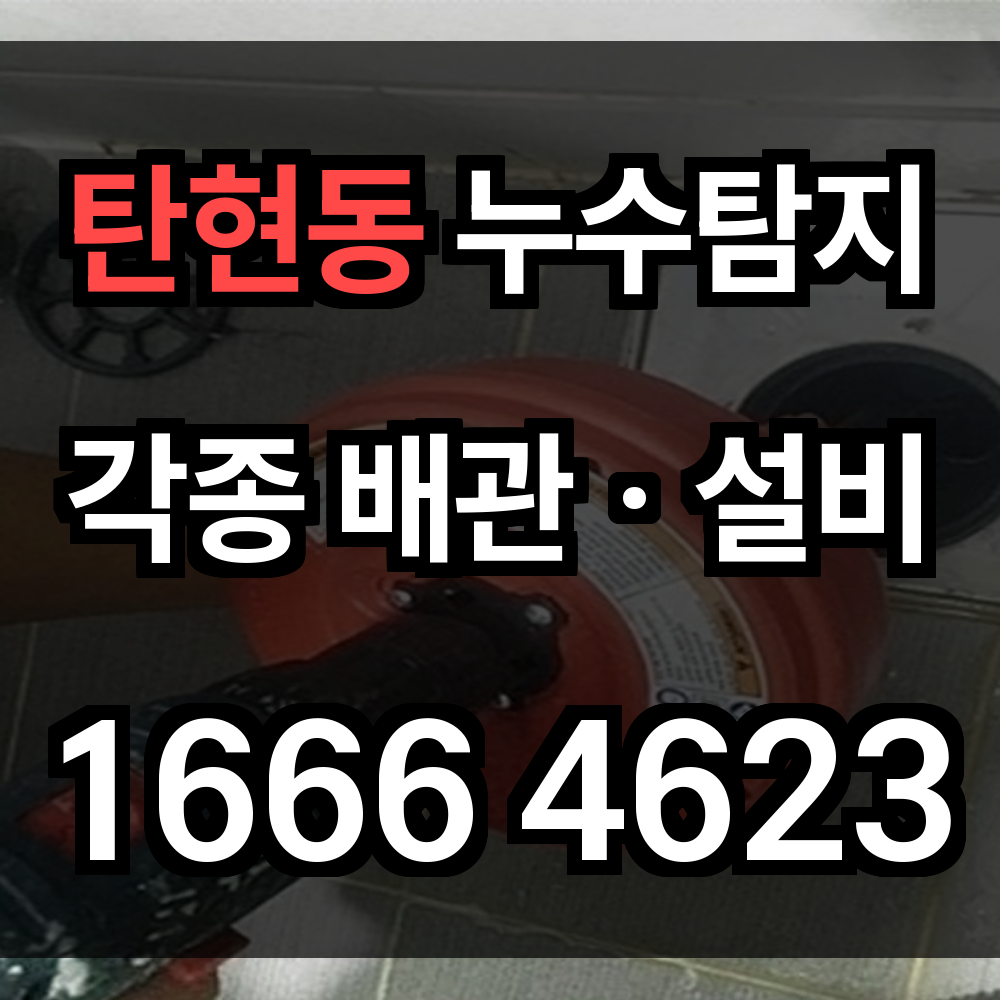 탄현동 누수탐지