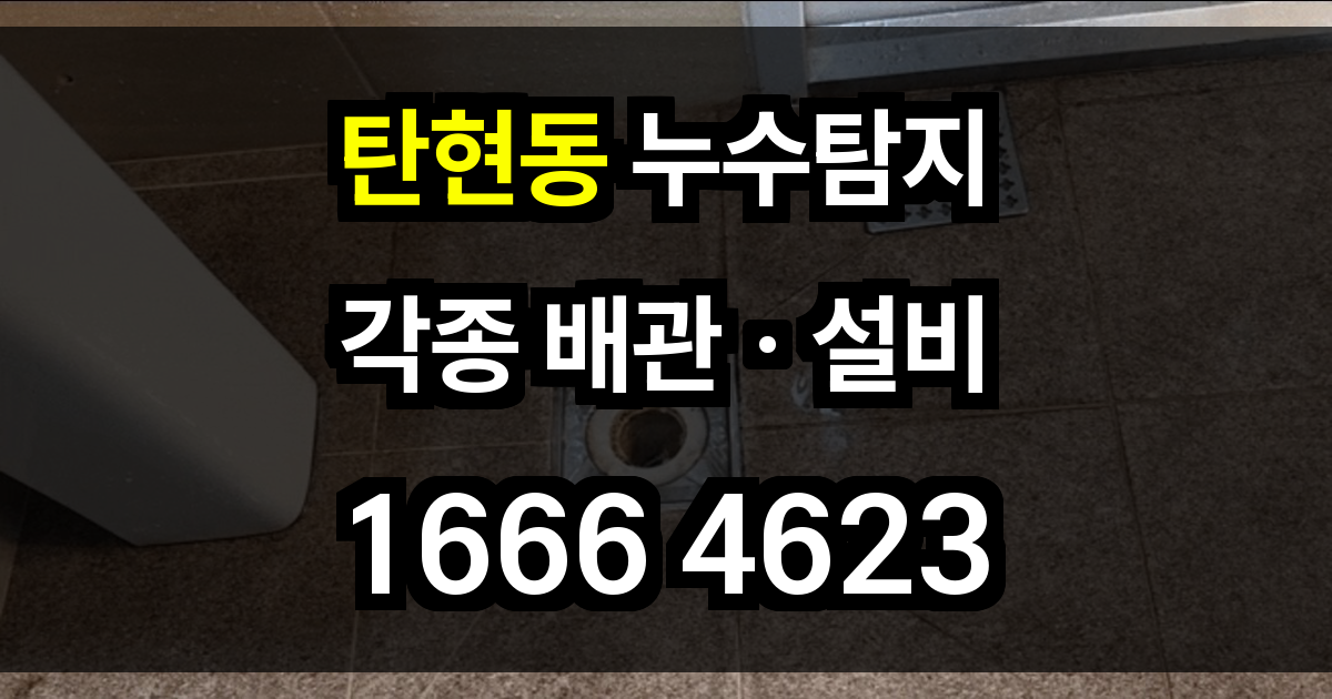 탄현동 누수탐지