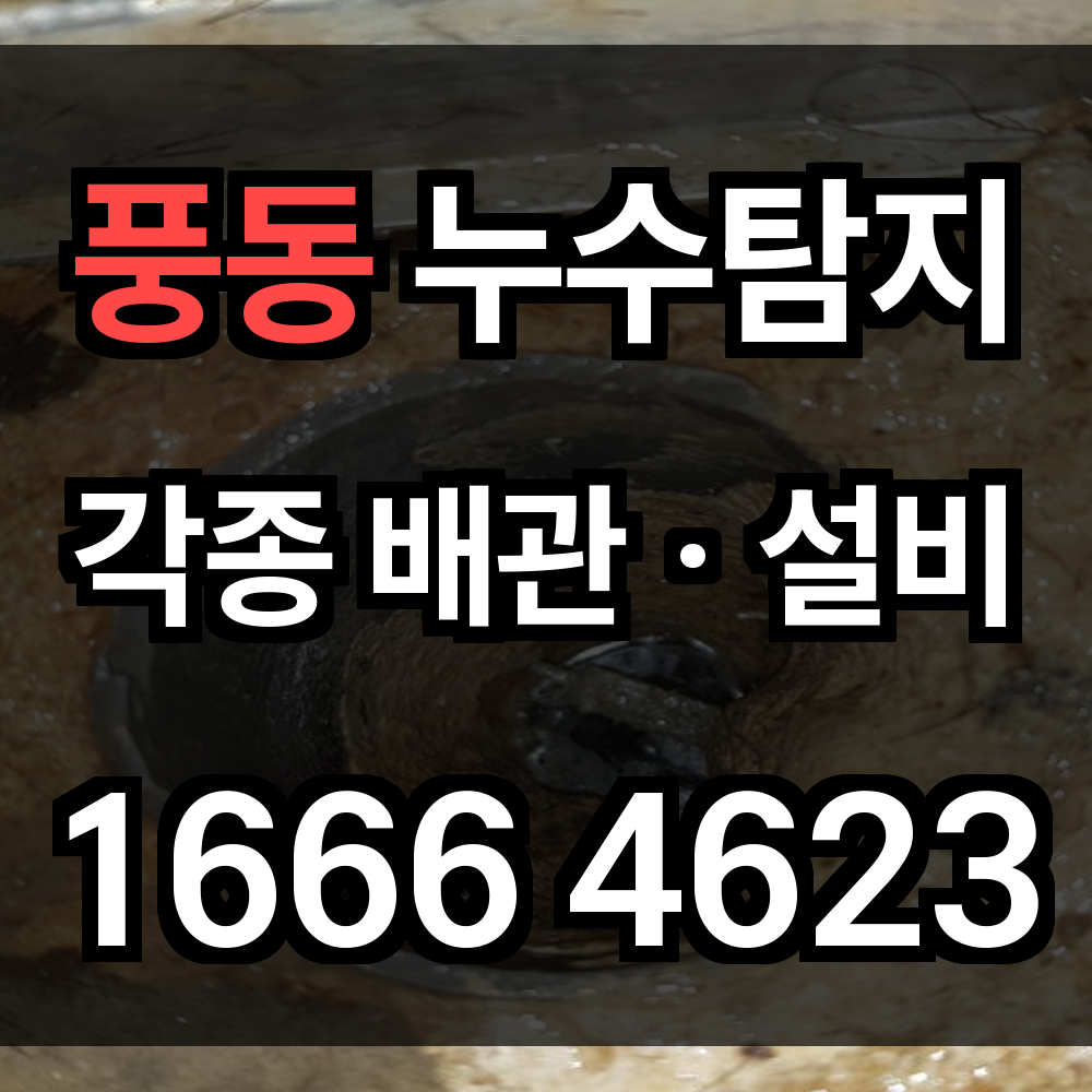 풍동 누수탐지