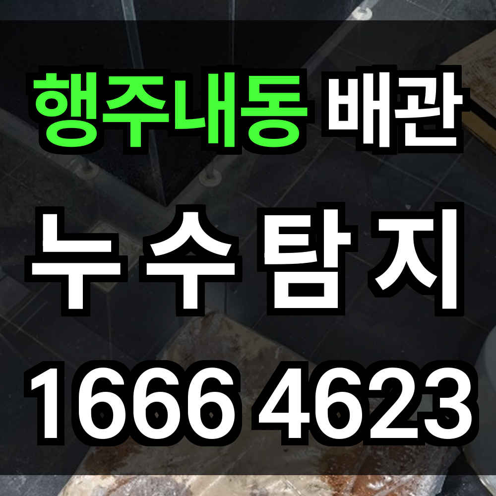 행주내동 누수탐지