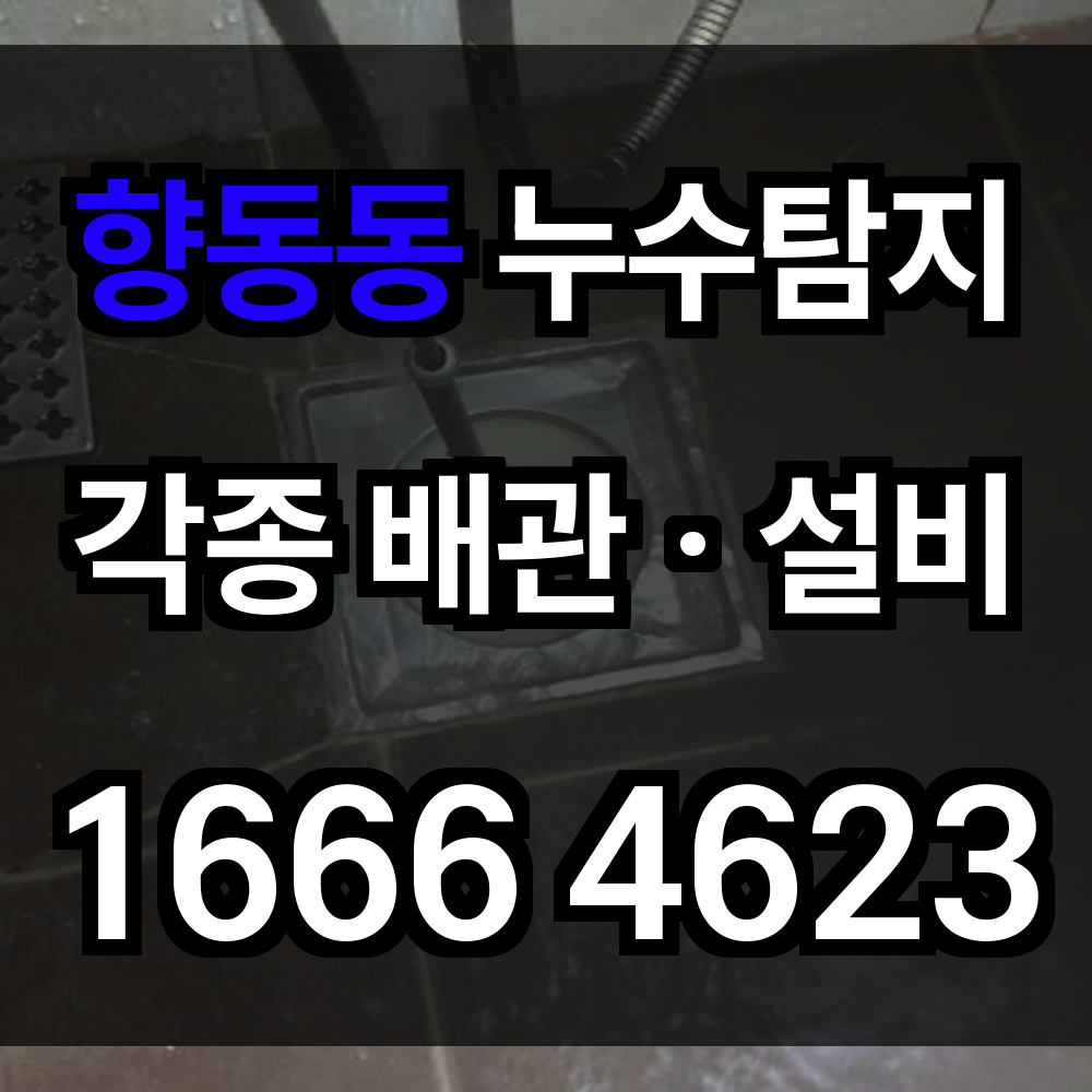 향동동 누수탐지