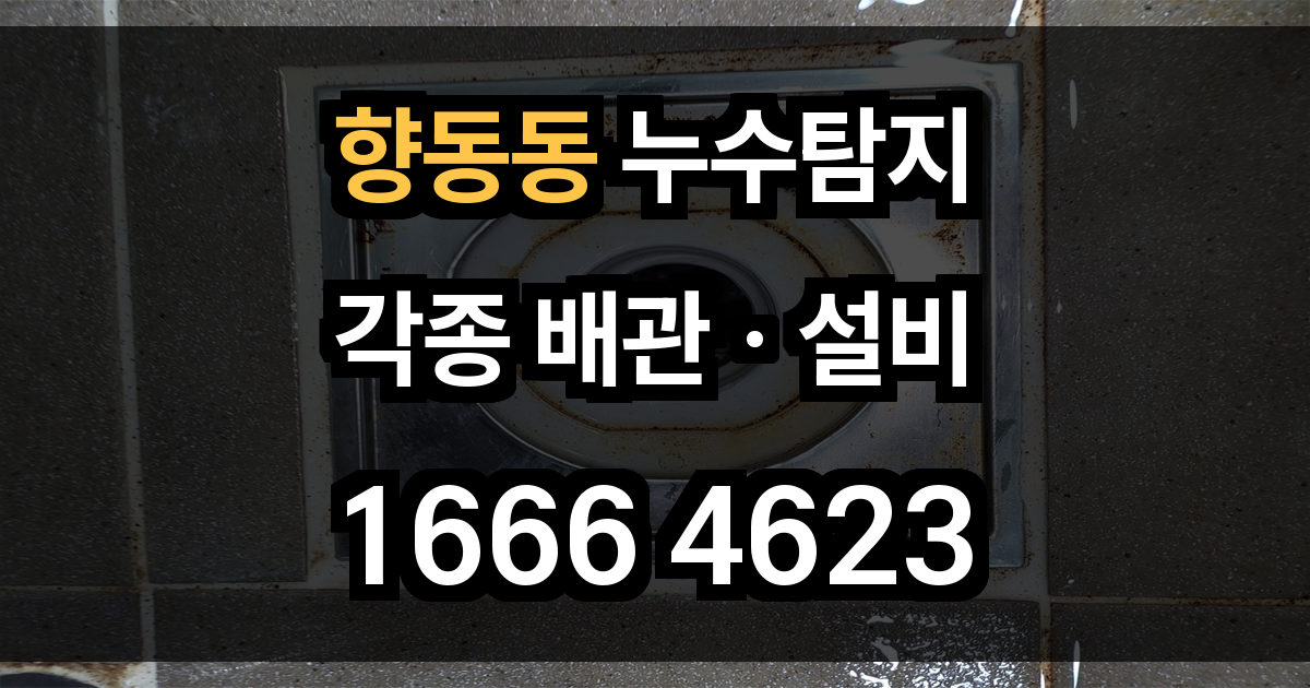 향동동 누수탐지