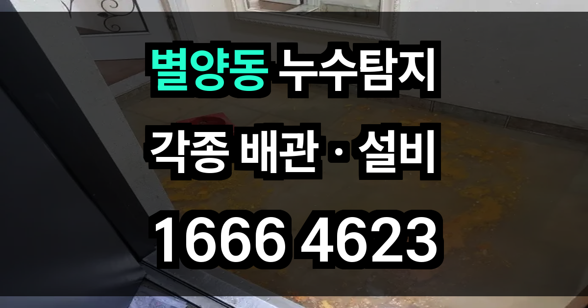 별양동 누수탐지