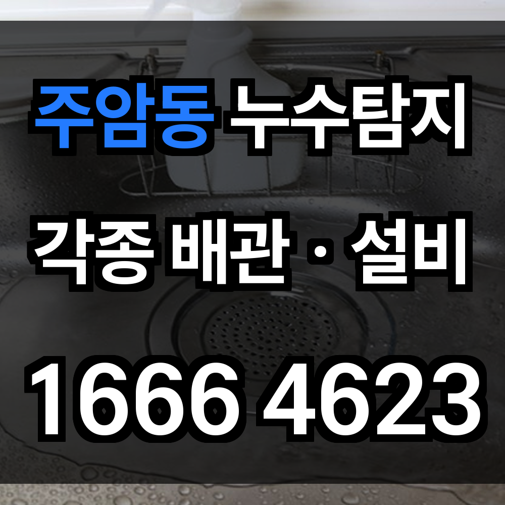 주암동 누수탐지