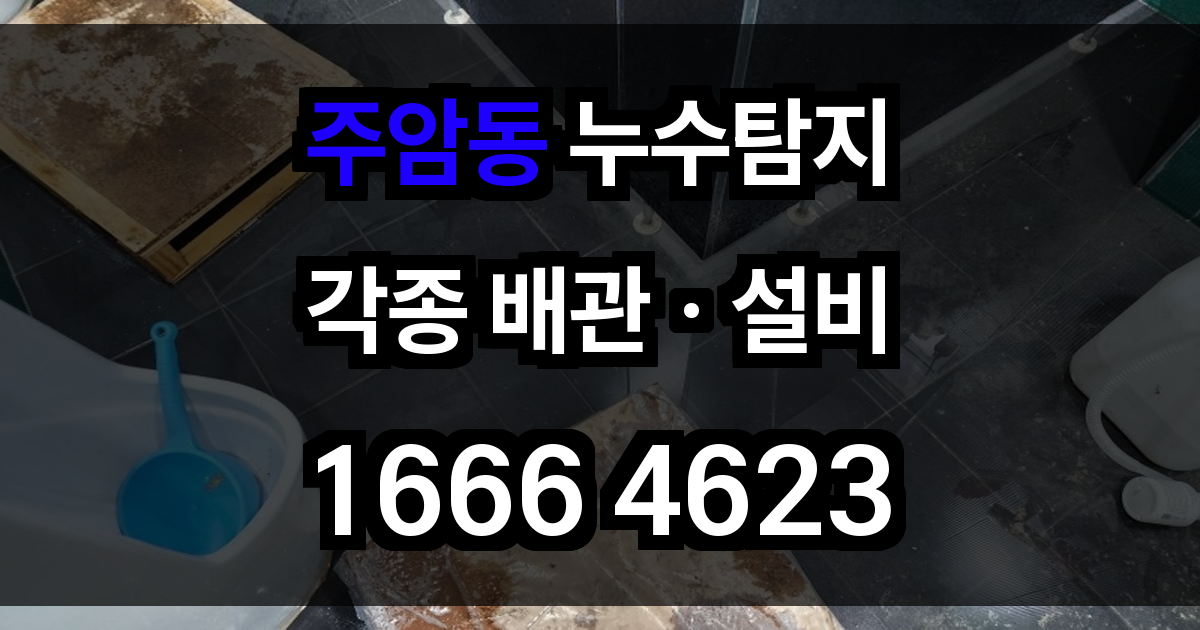 주암동 누수탐지