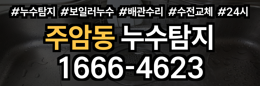 주암동 누수탐지