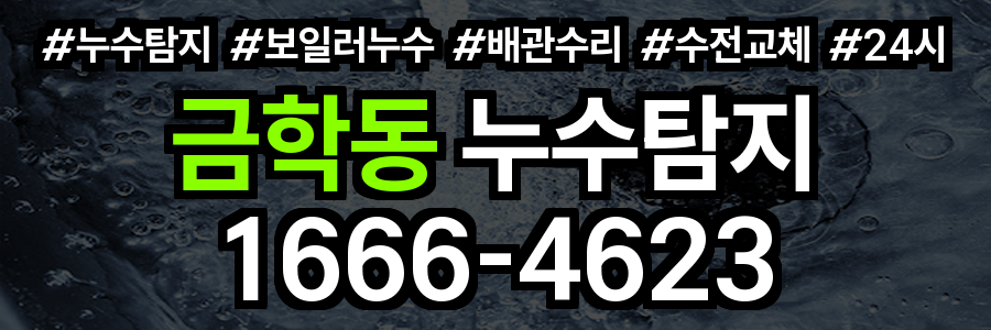 금학동 누수탐지