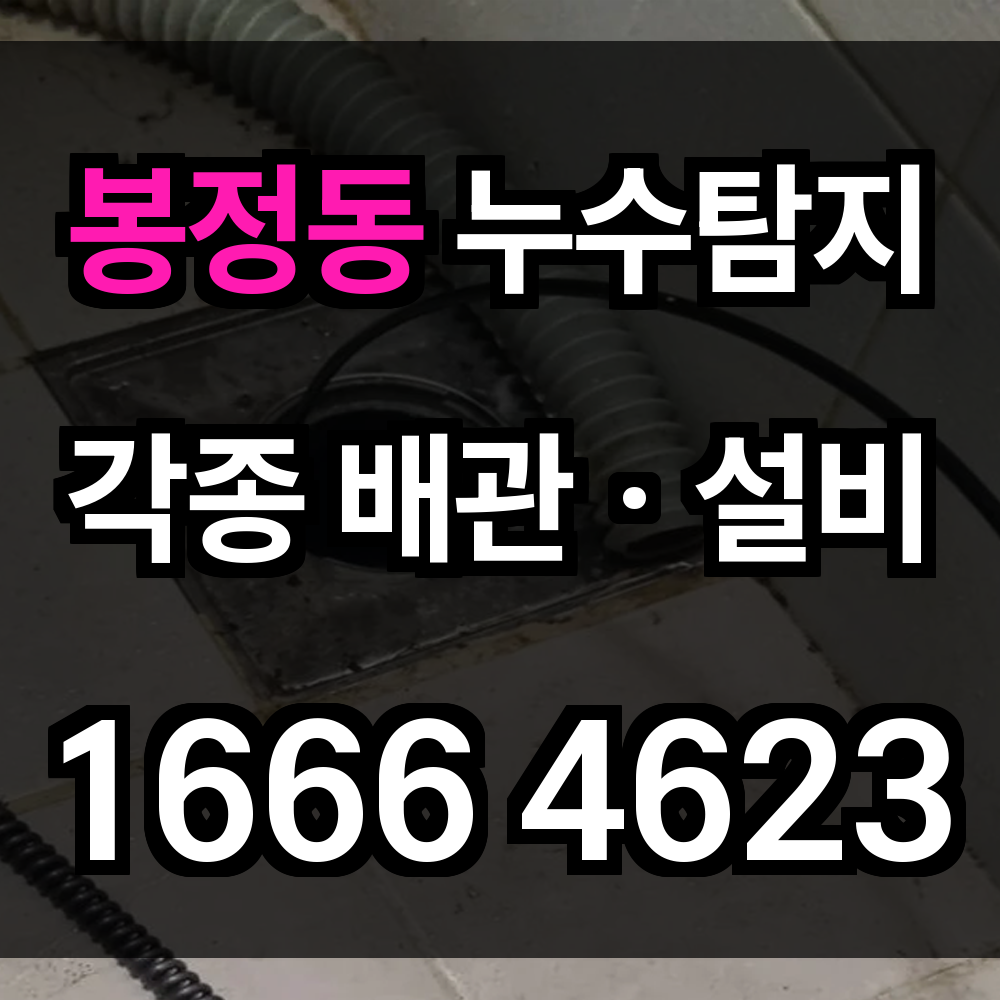봉정동 누수탐지