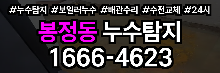 봉정동 누수탐지