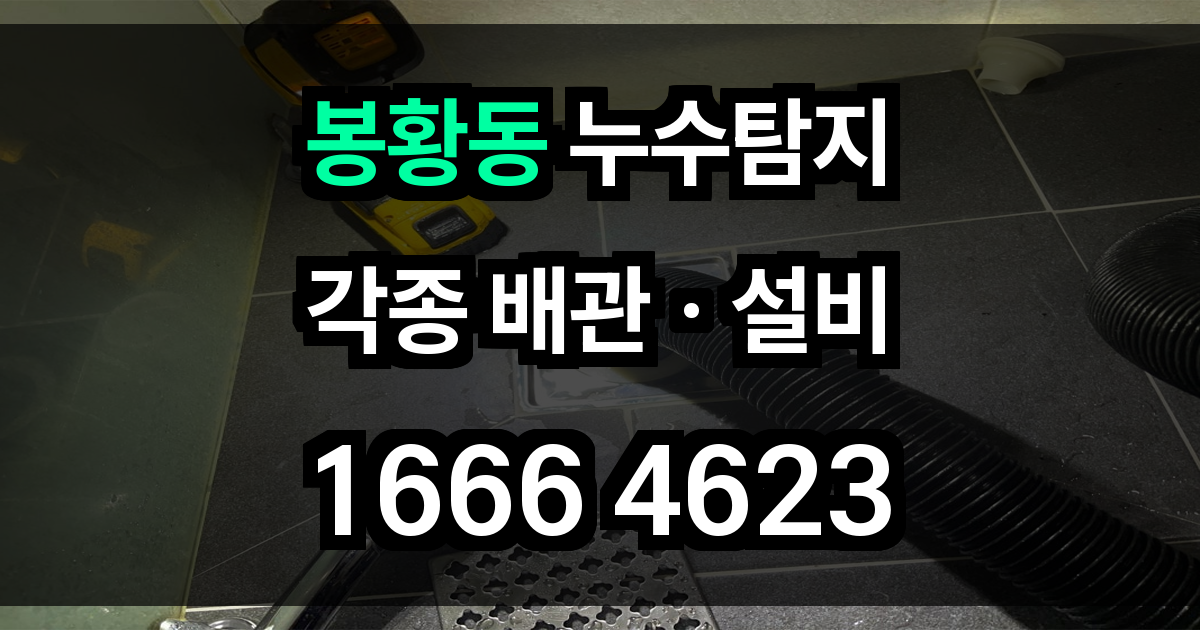 봉황동 누수탐지