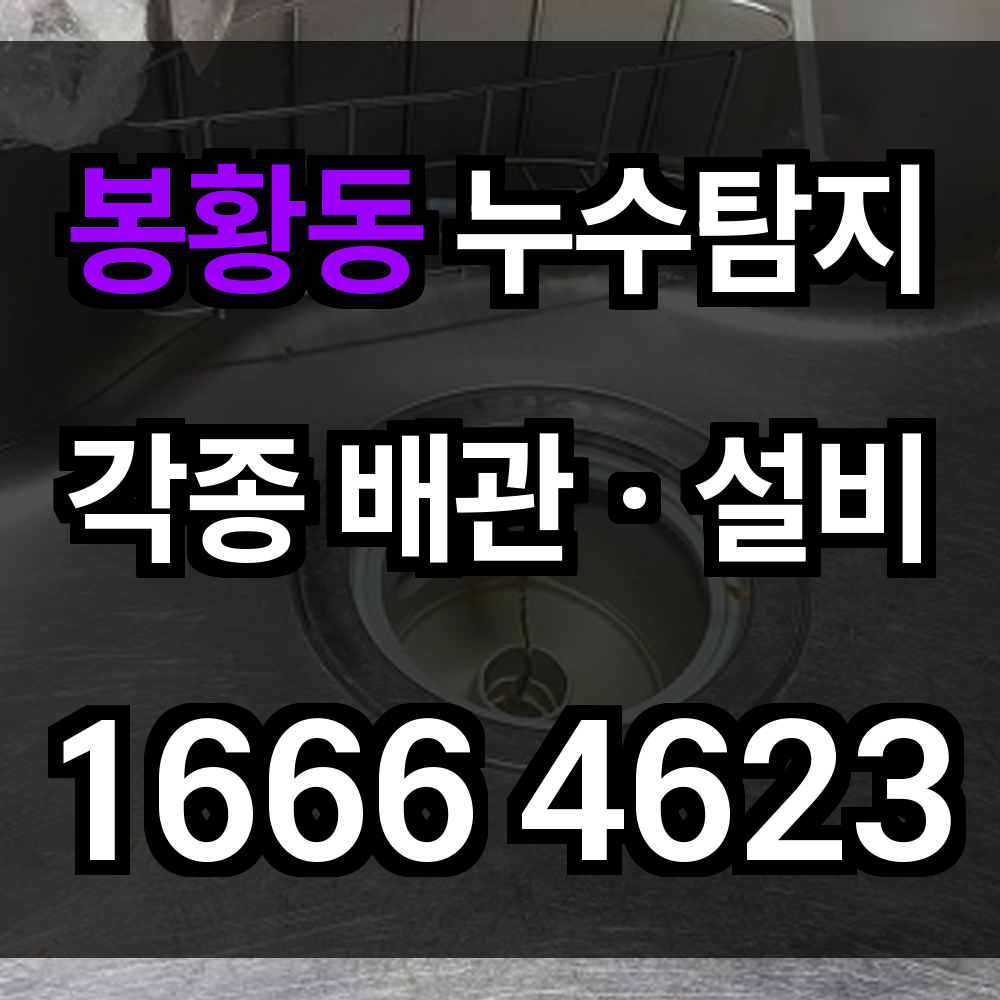 봉황동 누수탐지