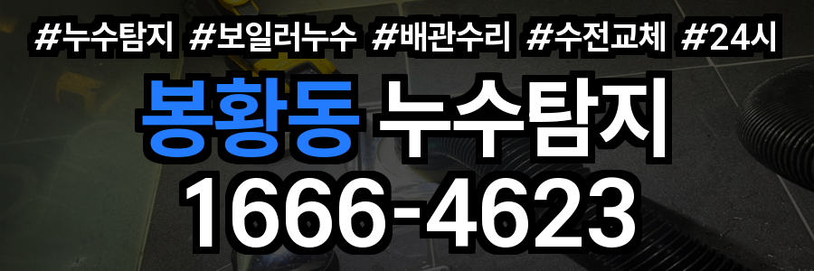 봉황동 누수탐지
