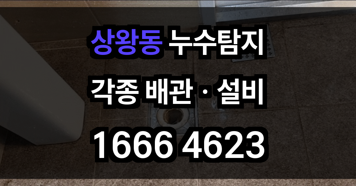 상왕동 누수탐지