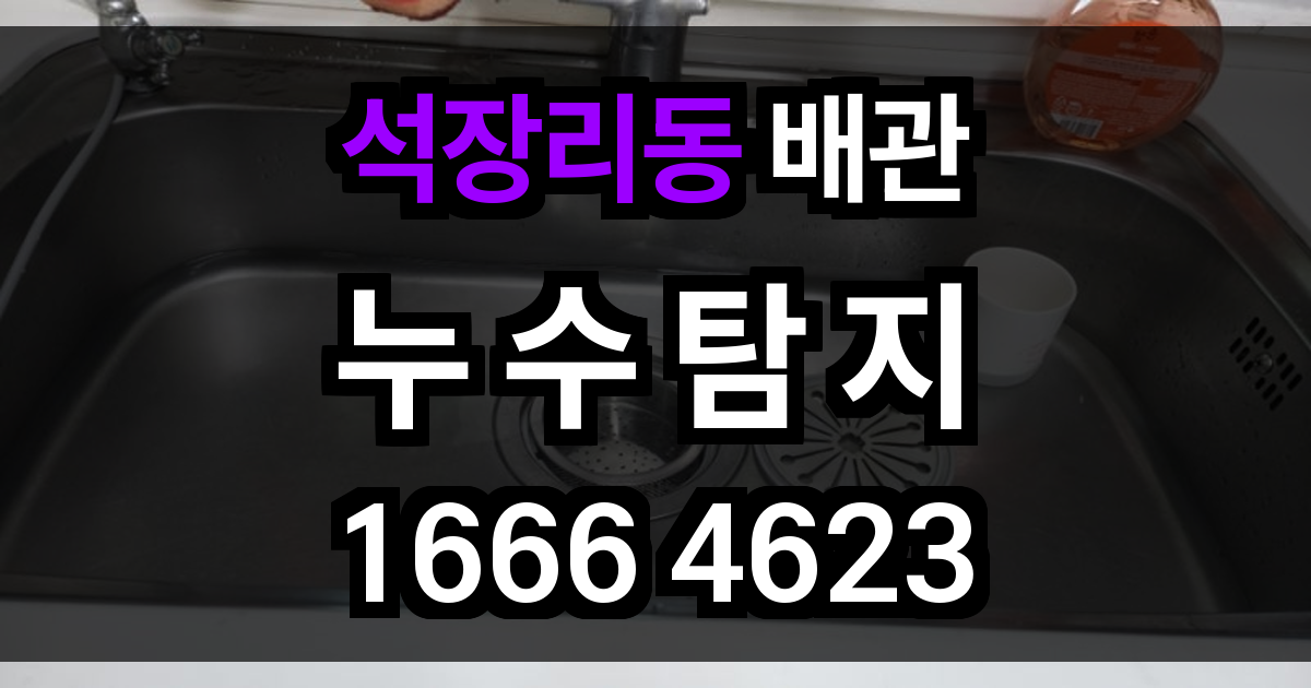 석장리동 누수탐지
