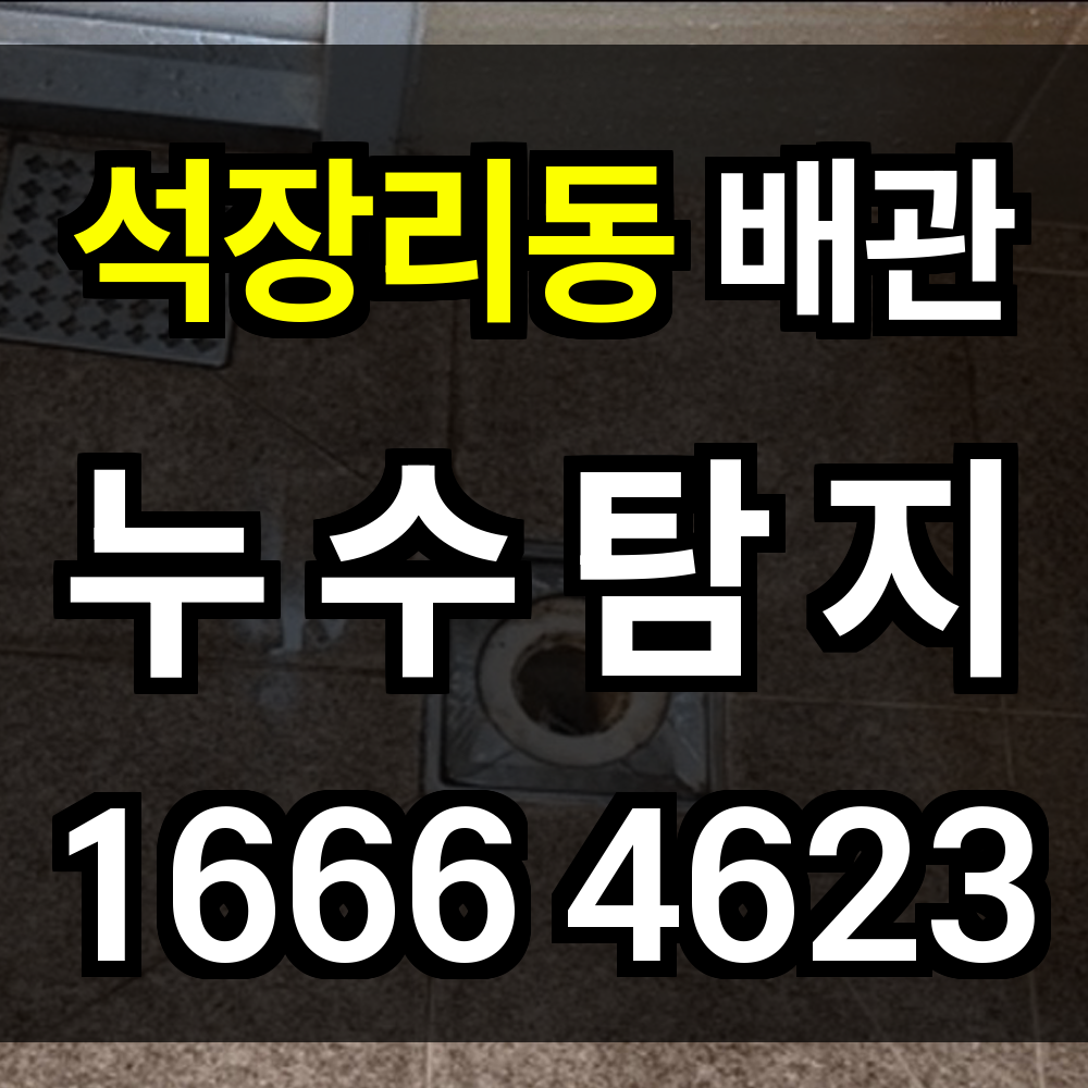 석장리동 누수탐지