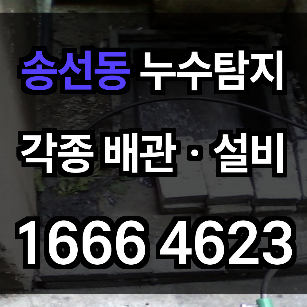송선동 누수탐지