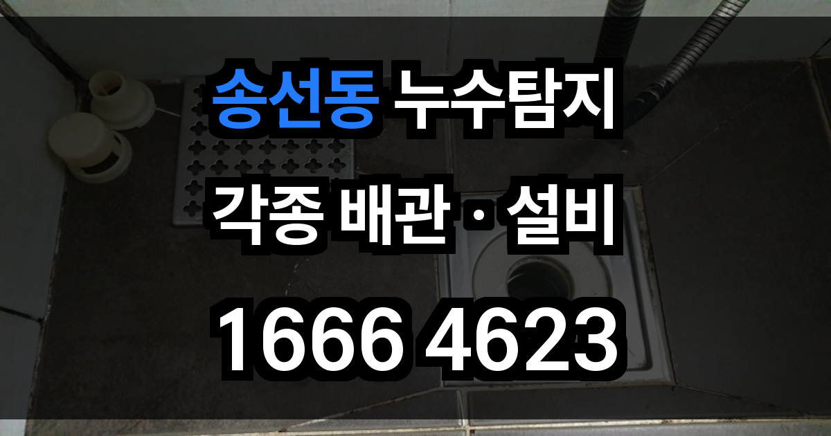 송선동 누수탐지
